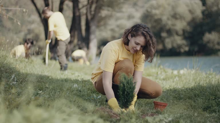 Best Pest Control for Lawns  in Como, WI