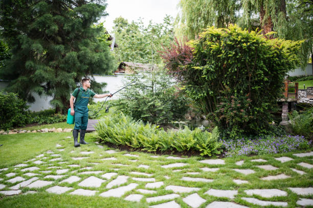 Best Lawn Maintenance Plans  in Como, WI