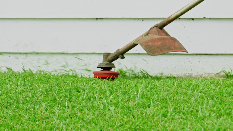Best Seasonal Cleanup (Spring/Fall)  in Como, WI