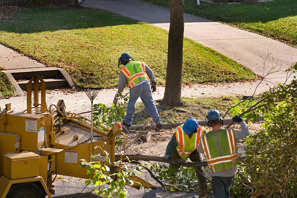 Best Landscape Design and Installation  in Como, WI